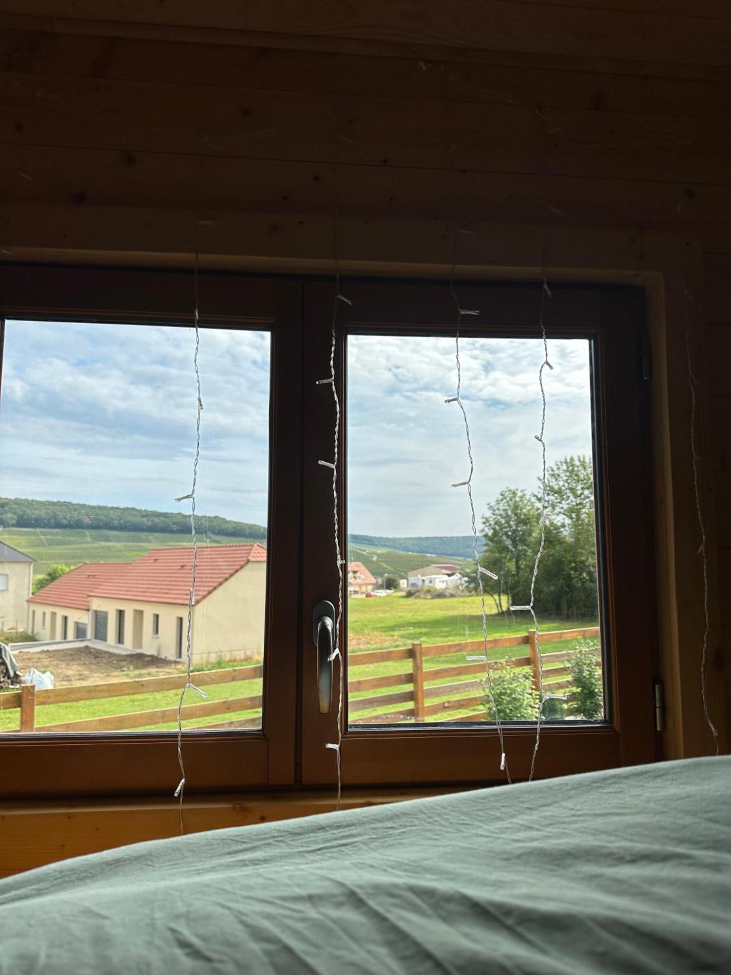 Fleury-la-Riviere Chez Celia, Roulotte En Champagneヴィラ エクステリア 写真