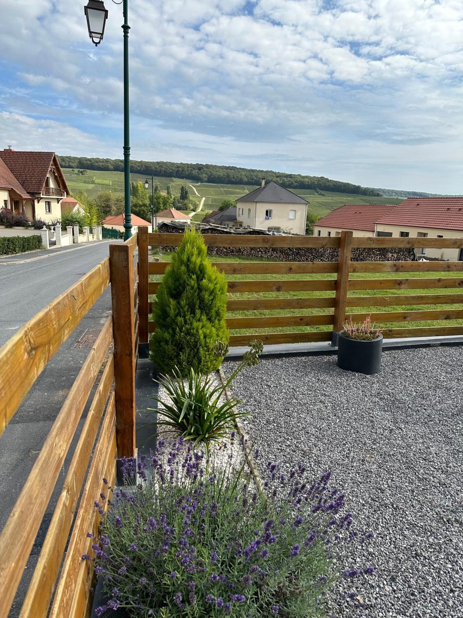 Fleury-la-Riviere Chez Celia, Roulotte En Champagneヴィラ エクステリア 写真